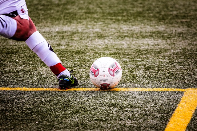 歐洲杯使用 歐洲杯使用