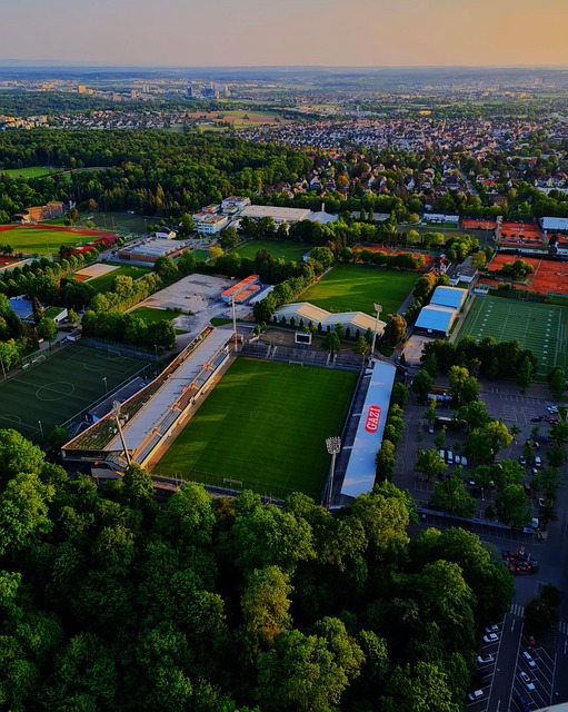 坪山以其包 坪山以其包