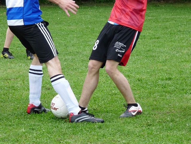 否延续统治 否延续统治