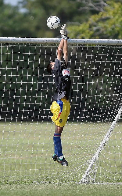 為拜仁的進 為拜仁的進